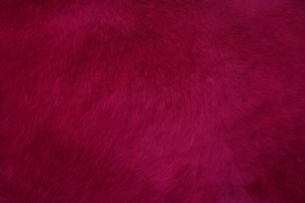 a close up of a red fur texture